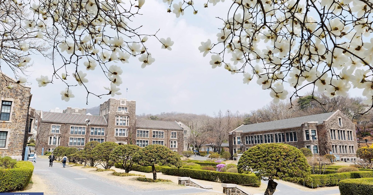 Высшее образование в Корее