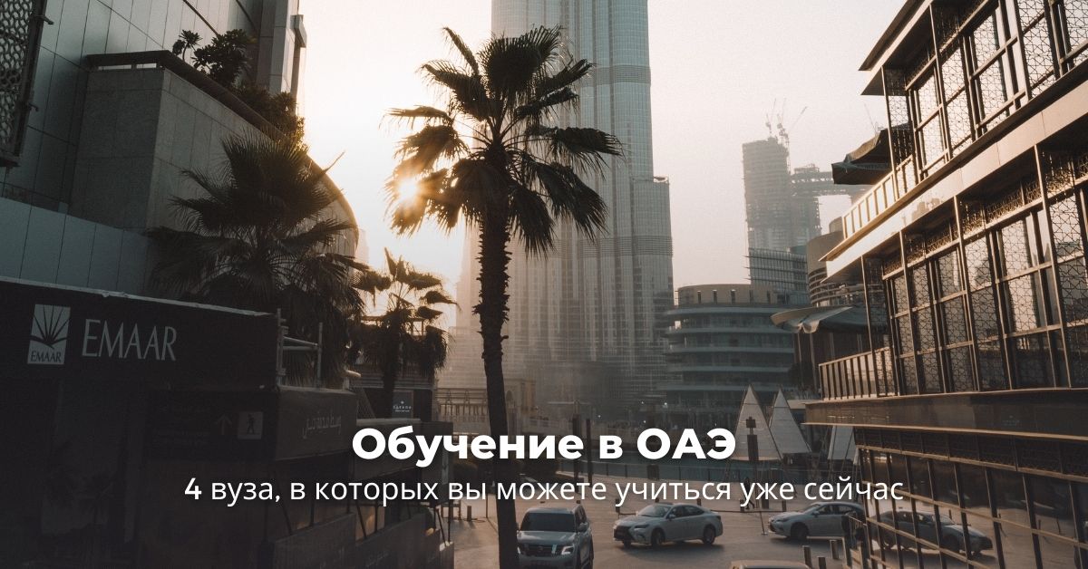 Дубай ждет российских студентов: 4 вуза для обучения в ОАЭ прямо сейчас